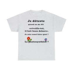T-shirt cendre homme je déteste quand on me dis