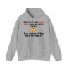 Hoodie - Sweat à capuche gris choisissez bien votre jour