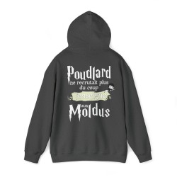 Sweat gris foncé Poudlard ne recrutait plus ...