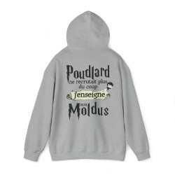 Sweat gris Poudlard ne recrutait plus ...