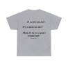 T-shirt gris il y a pire que moi