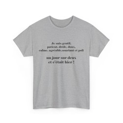 T-shirt gris je suis gentil...