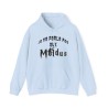 Hoodie je ne parle pas aux moldus bleu ciel