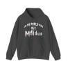Hoodie je ne parle pas aux moldus gris foncé