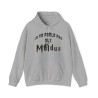 Hoodie je ne parle pas aux moldus gris