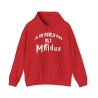 Hoodie je ne parle pas aux moldus rouge