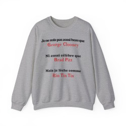 Sweat je ne suis pas aussi beau couleur gris