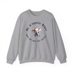 Sweat on m'appelle Babar gris