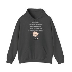 Hoodie aujourd'hui j'ai décidé d'assumer gris sombre