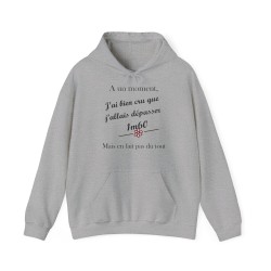 Hoodies A un moment  gris